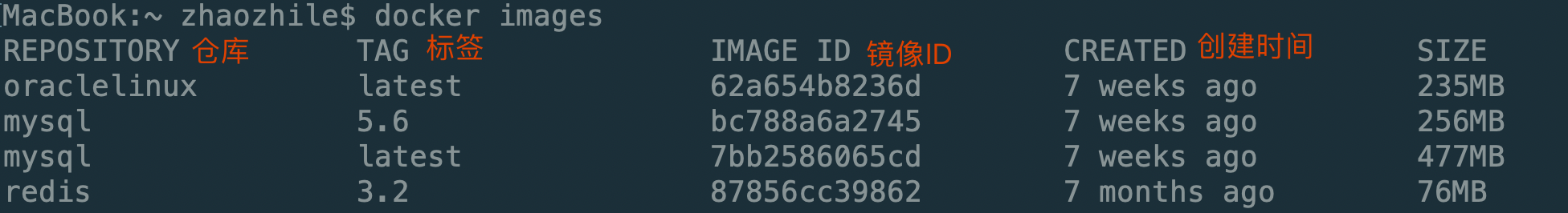 Docker常用命令介绍及使用
